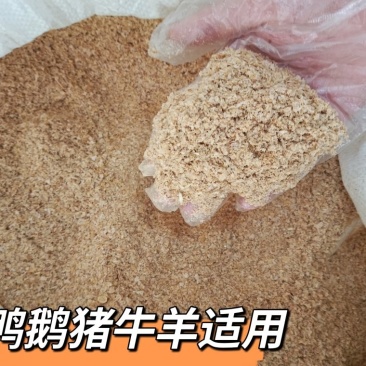 五得利出厂优质麸皮