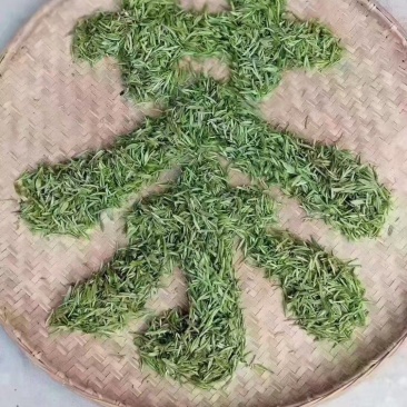 高山信阳毛尖茶自产自销