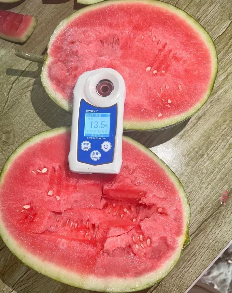 【产地直发】台农种植无籽美都麒麟西瓜货源充足欢迎联系