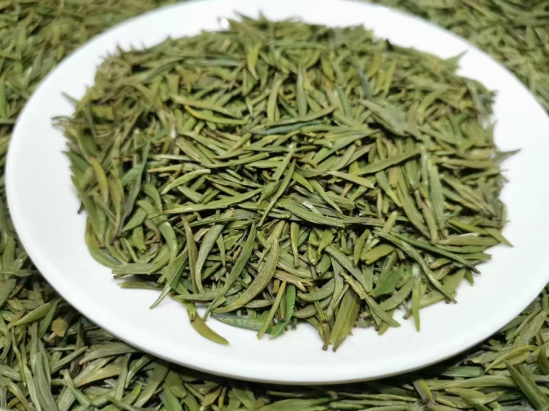 明前头采翠芽
