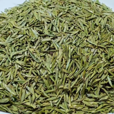 明前头采翠芽