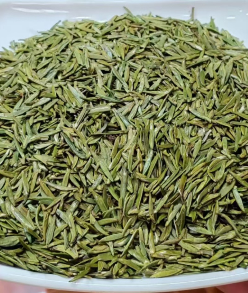 明前头采翠芽