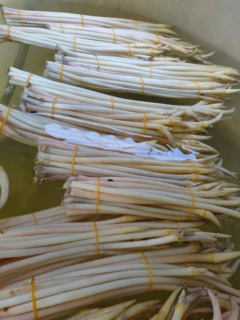 江苏藕带/对接全国电商超产地直发，量大从优
