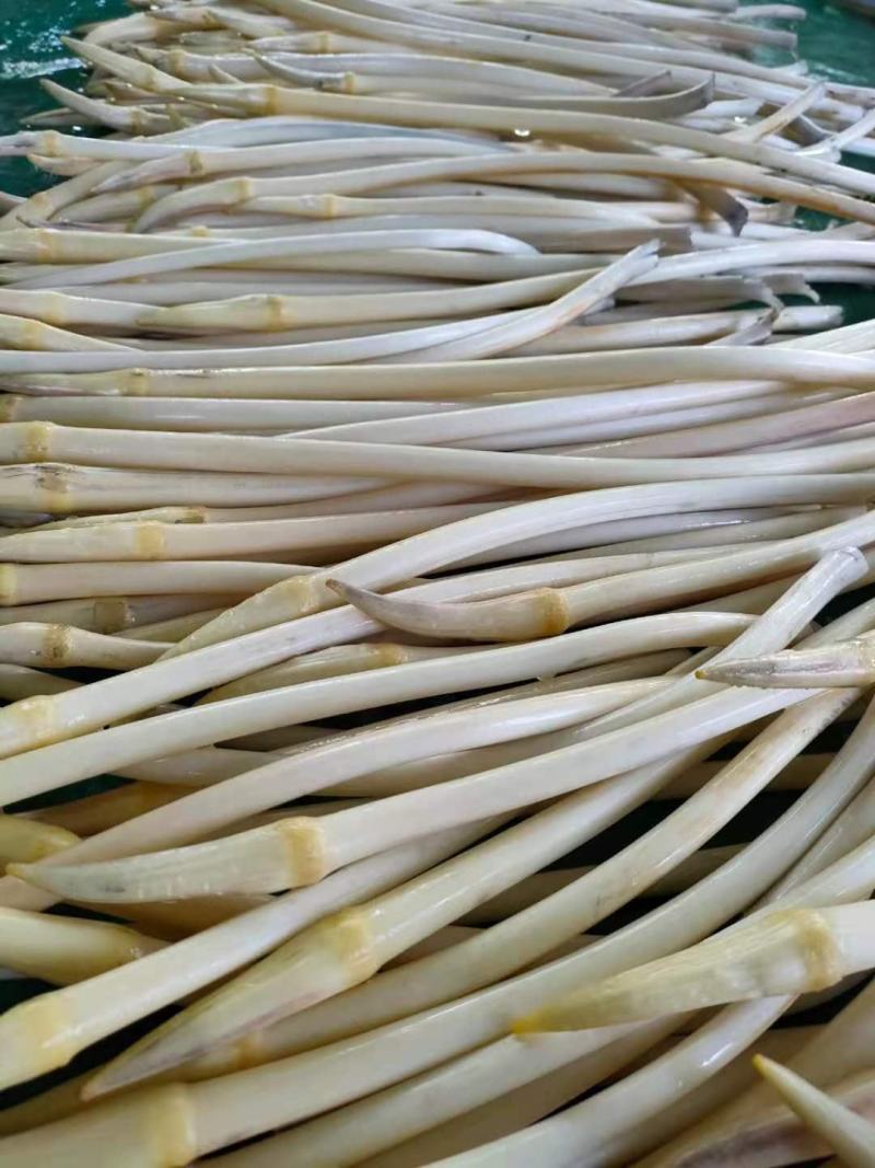 江苏藕带/对接全国电商超产地直发，量大从优