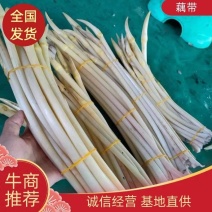 江苏藕带/对接全国电商超产地直发，量大从优