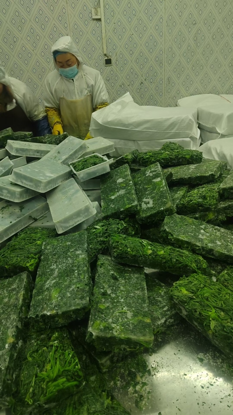 荠荠菜速冻荠菜馅，常年供应可发全国；证件齐全