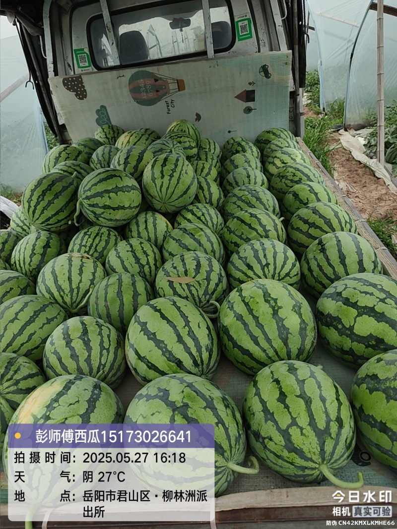 产地直销麒麟西瓜，无中间商赚差价，包装车，打包，视频看货