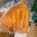 五香卤猪耳朵全熟开袋即食用凉拌卤菜一件20斤真空包装