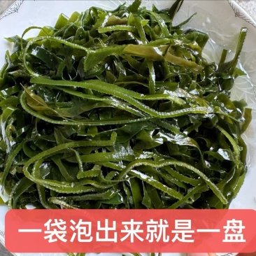 盐海带丝烘干海带一件50把左右炖汤凉拌厂家直销