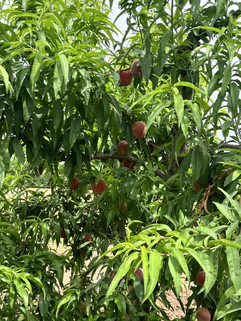 突围