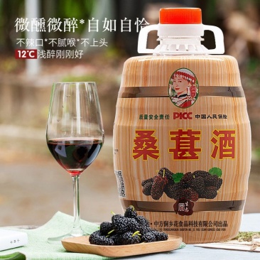 洞乡花桑葚酒12度2.5L湖南怀化农家特产桑椹酒酿制鲜果微醺
