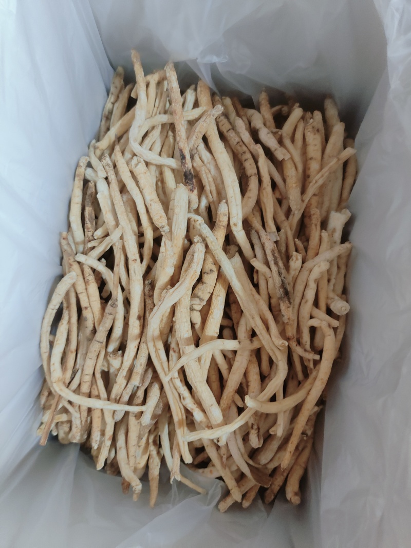 川明参无流有流都有货