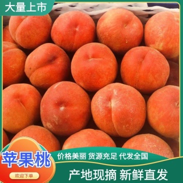 【推荐】苹果桃货源充足量大从优产地供应量大从优欢迎咨