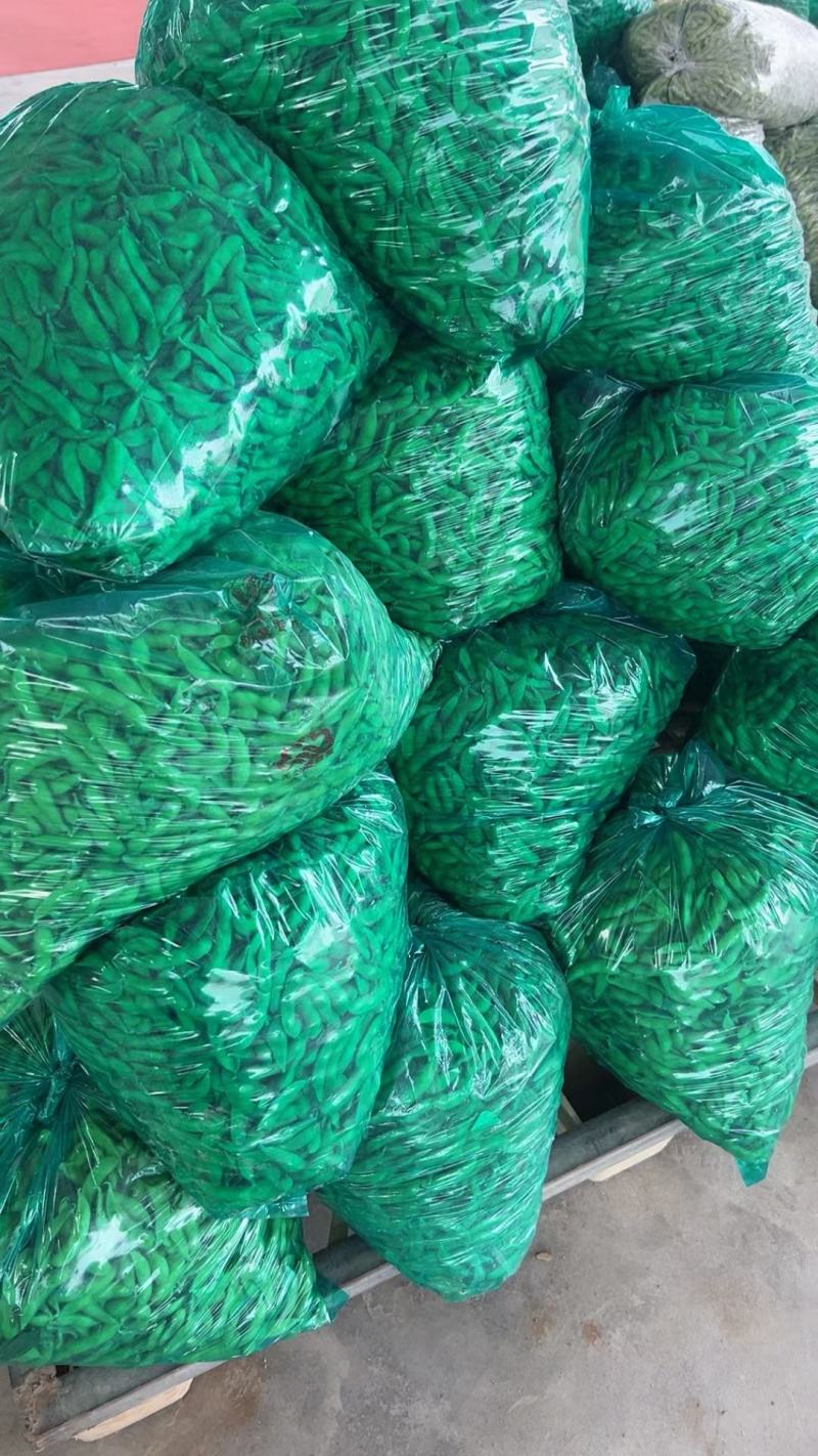 湖北天门精品毛豆产地一手货源批发品质保证价格优惠欢迎联系