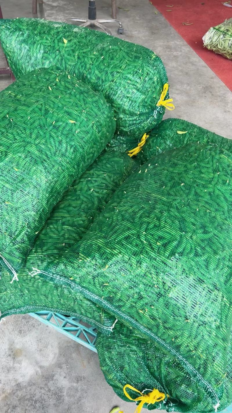 湖北天门精品毛豆产地一手货源批发品质保证价格优惠欢迎联系