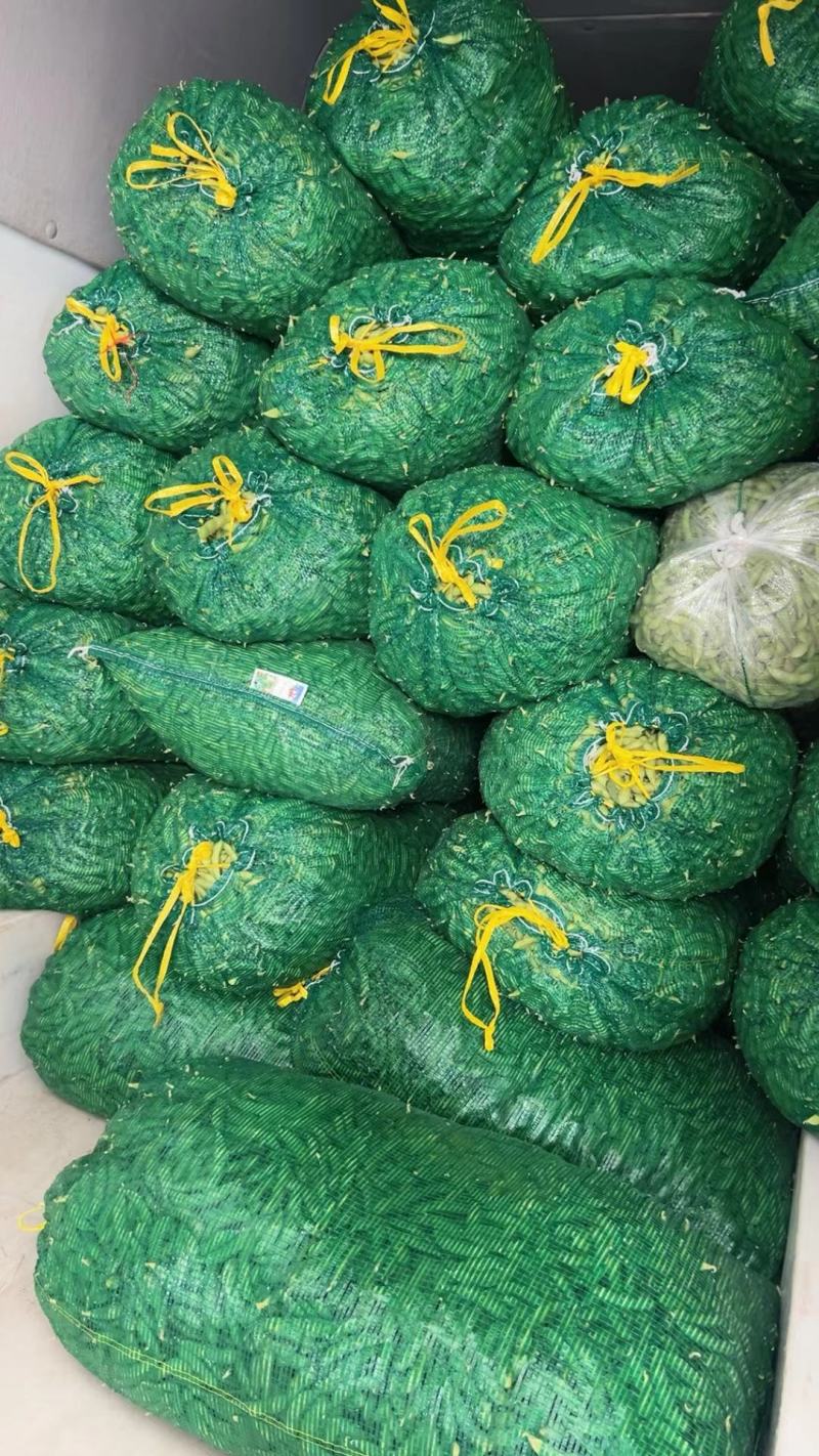湖北天门精品毛豆产地一手货源批发品质保证价格优惠欢迎联系