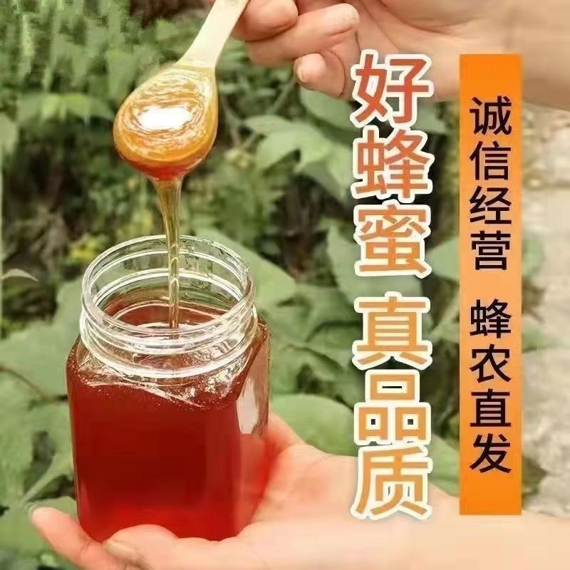 13084这里下单不了加数959558