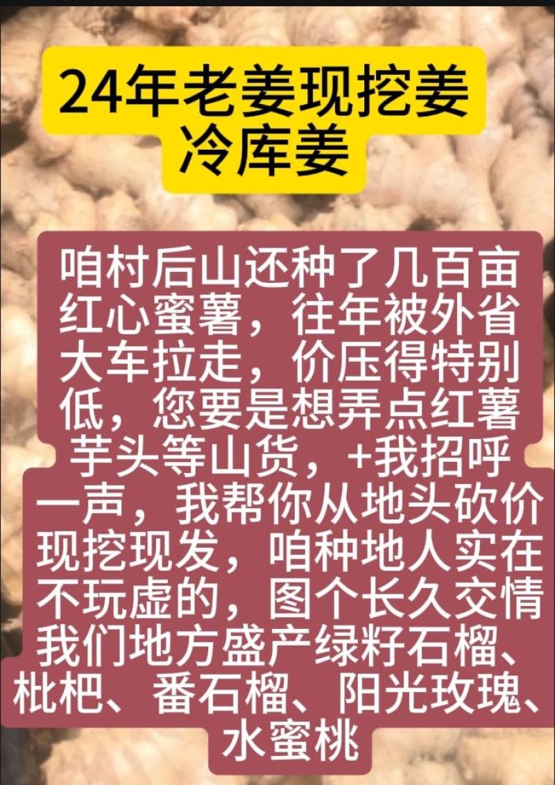 云南小黄姜生姜（标价为零售价，批发请联系谈价）
