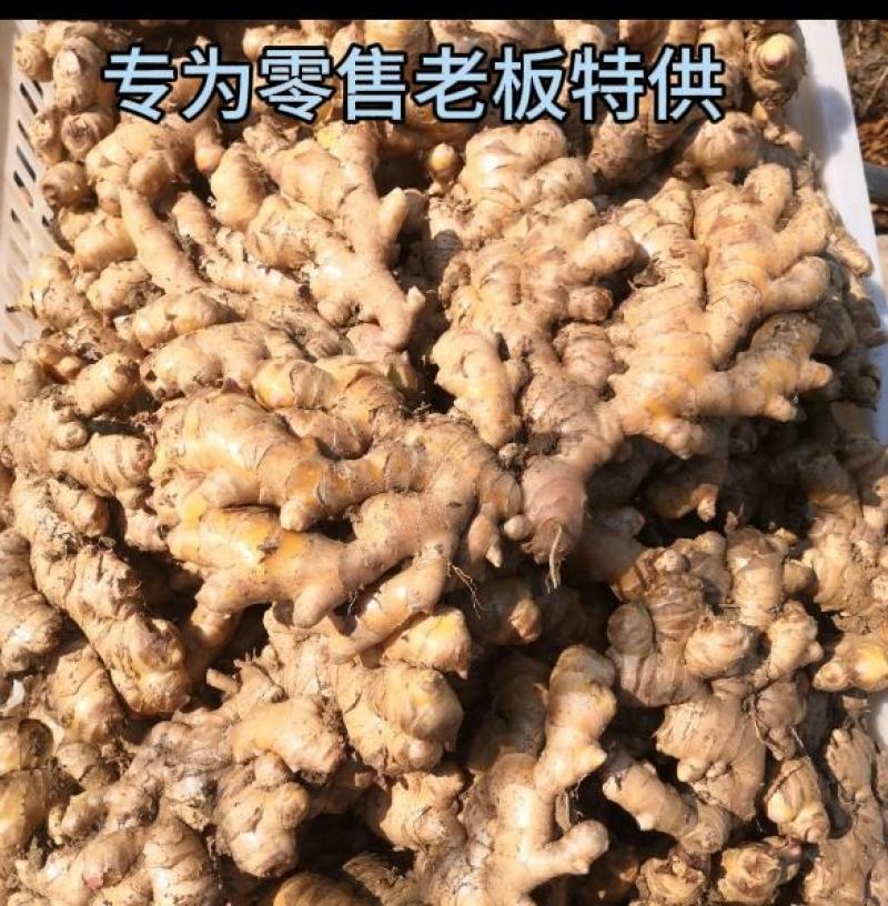 云南小黄姜生姜（标价为零售价，批发请联系谈价）