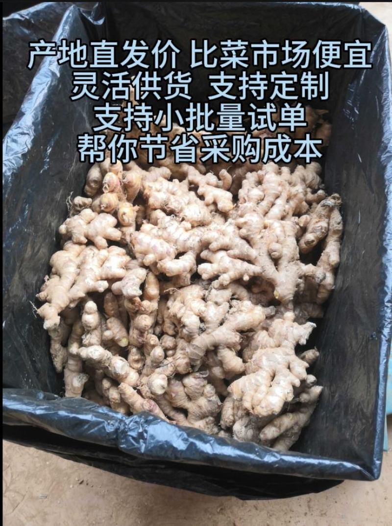 云南小黄姜生姜（标价为零售价，批发请联系谈价）