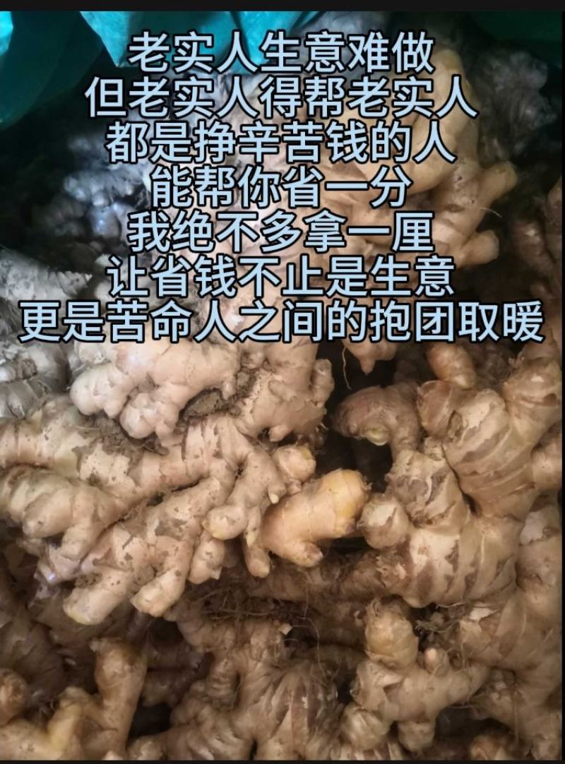 云南小黄姜生姜（标价为零售价，批发请联系谈价）
