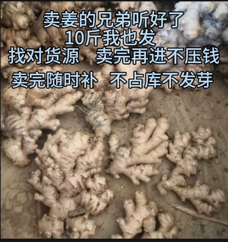 云南小黄姜生姜（标价为零售价，批发请联系谈价）