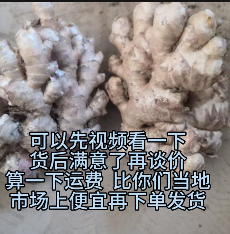 云南小黄姜生姜（标价为零售价，批发请联系谈价）