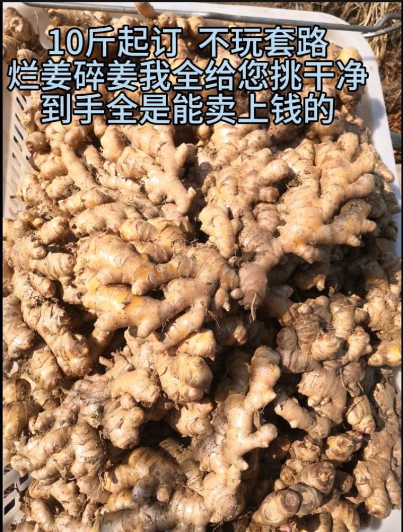 云南小黄姜生姜（标价为零售价，批发请联系谈价）