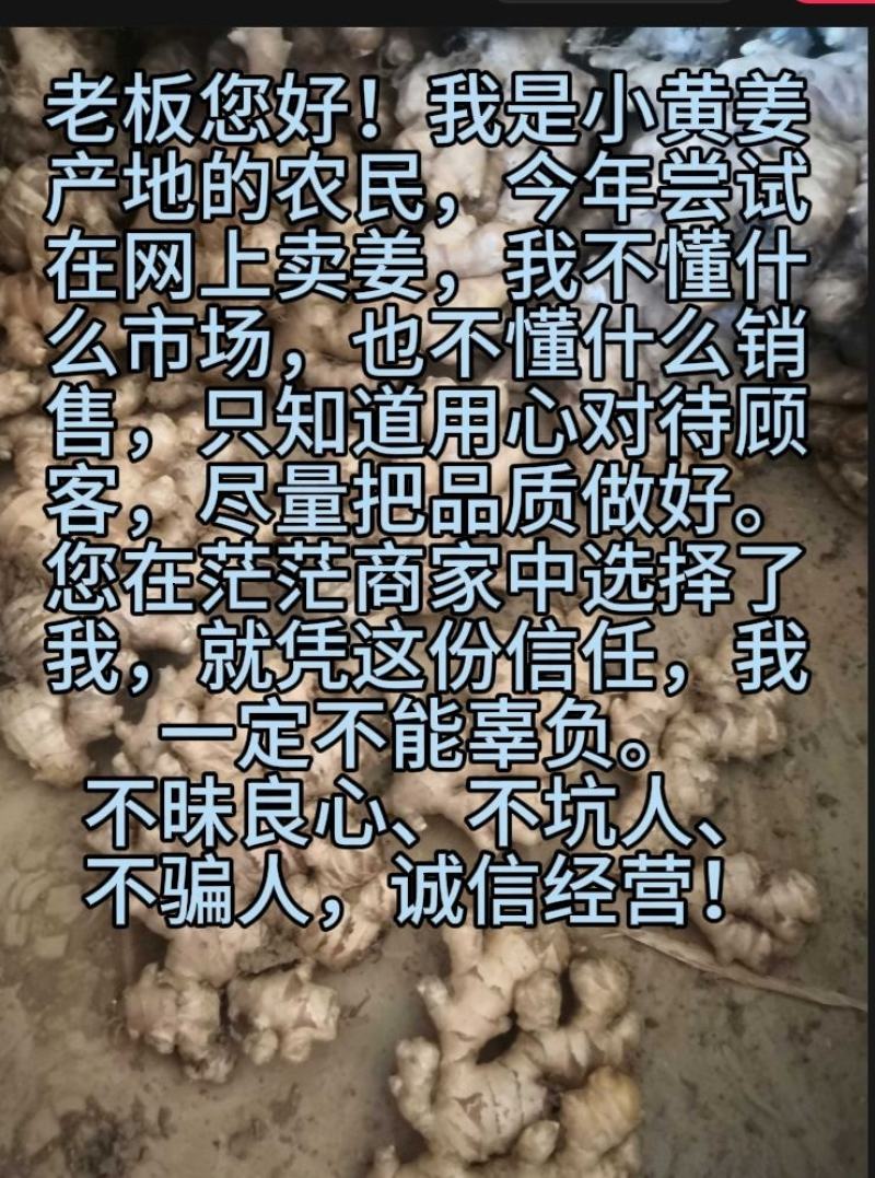 云南小黄姜生姜（标价为零售价，批发请联系谈价）