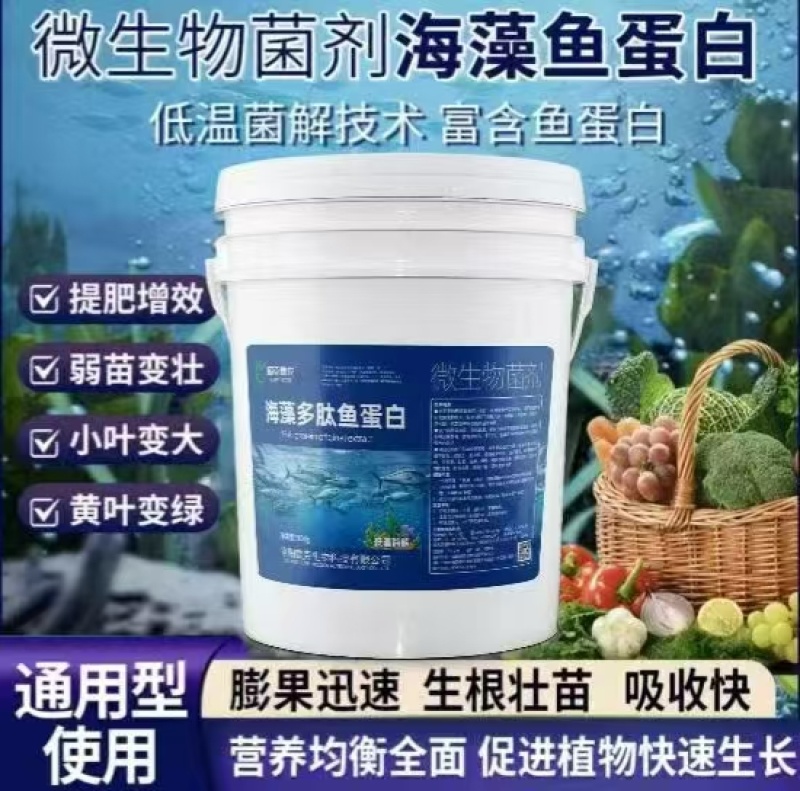 海藻多肽鱼蛋白低温酶解菌解生根促花膨果