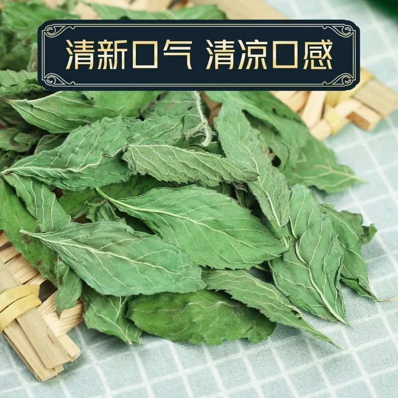 薄荷叶味道浓泡水煲汤清凉可口