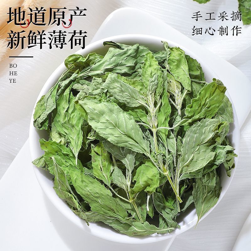 薄荷叶味道浓泡水煲汤清凉可口