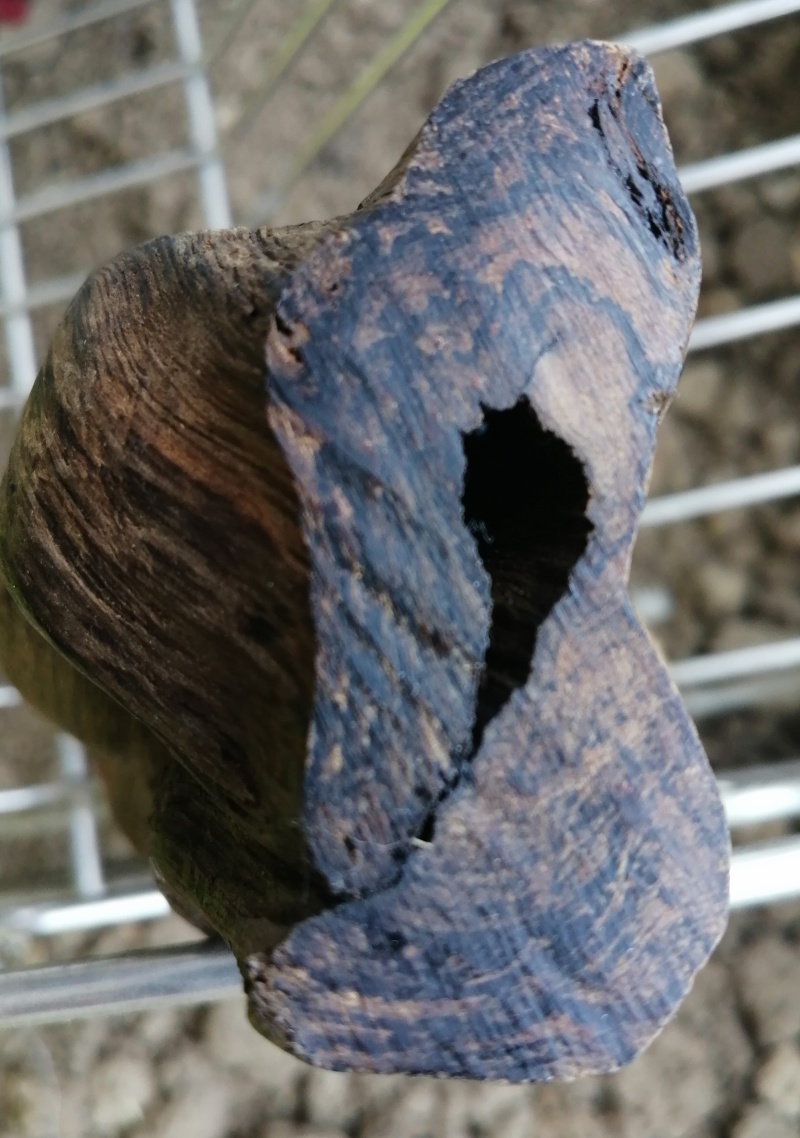 沉水级沉香原木重量153克，密度1.14秒沉水