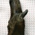 沉水级沉香原木重量153克，密度1.14秒沉水