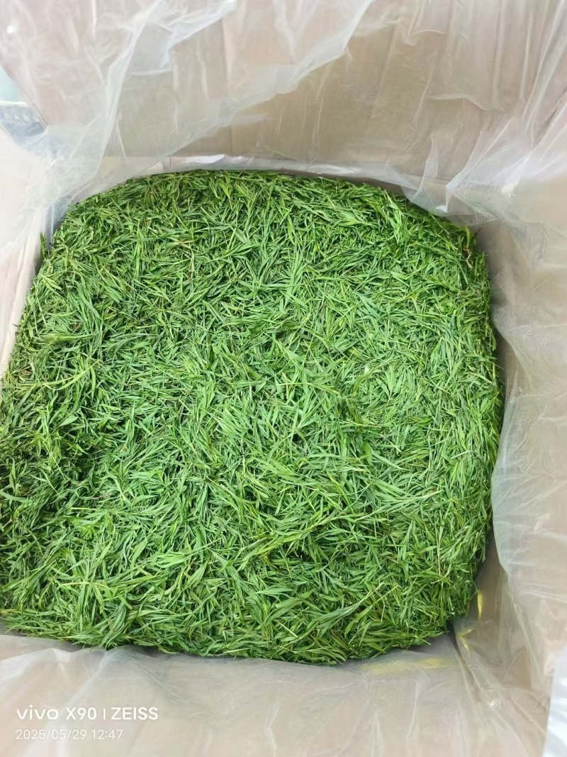 竹叶颜色好新货泡水级别