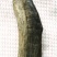 沉水级沉香原木重量195克，密度1.14秒沉水