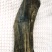沉水级沉香原木重量195克，密度1.14秒沉水