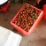 卖荔技。广东省茂名市电白区荔技皮薄肉厚汁多核小清甜可口