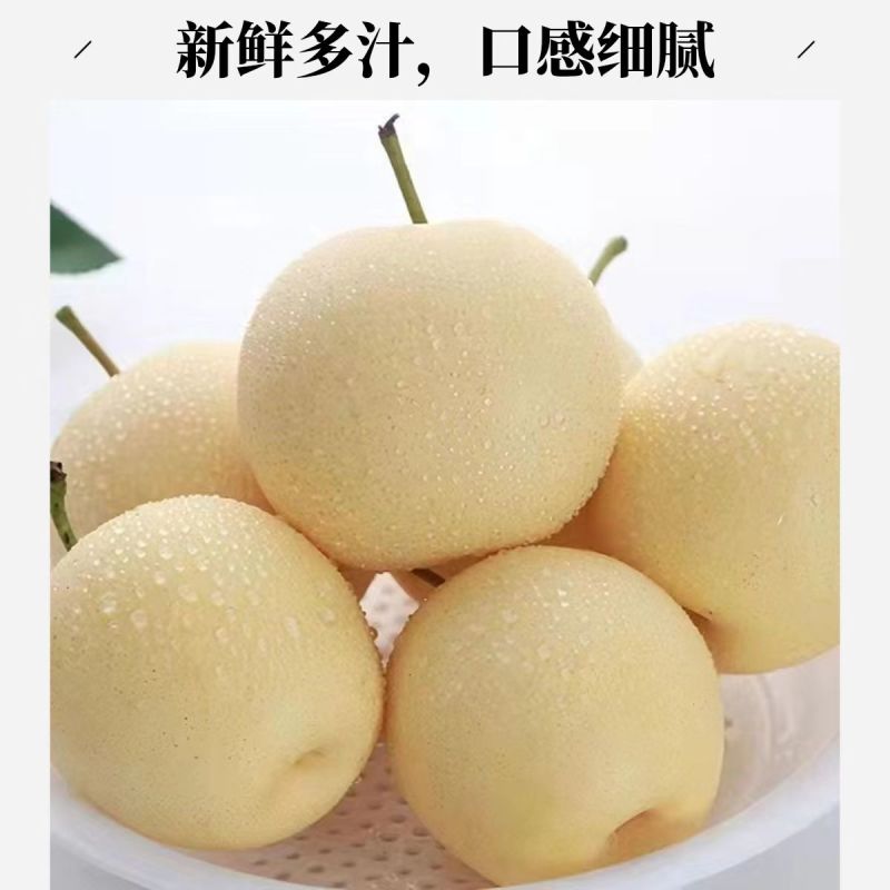 精品皇冠梨，赵县皇冠梨，产地直发，对接批发市场老板