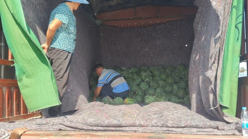 美都西瓜安徽西瓜（一手货源）万亩瓜田现摘现发，欢迎电联