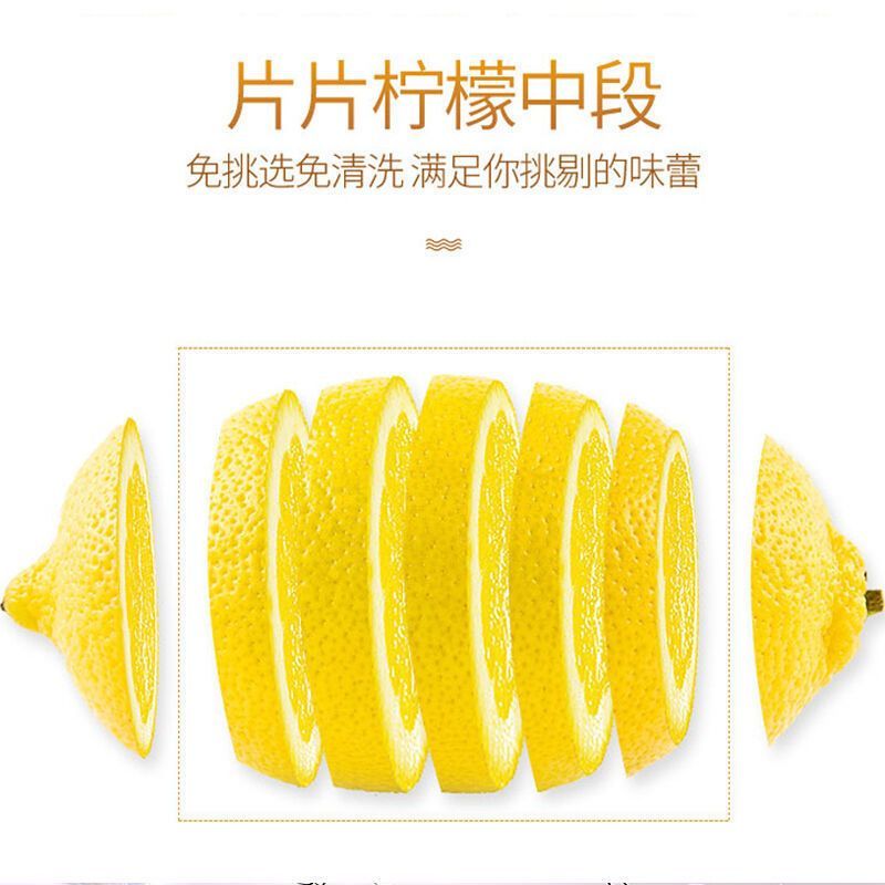 冻干柠檬选货大片口感更好1斤起包邮