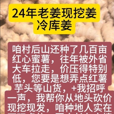 云南小黄姜生姜24年老姜，每天姜都不一来联系我看现货图片