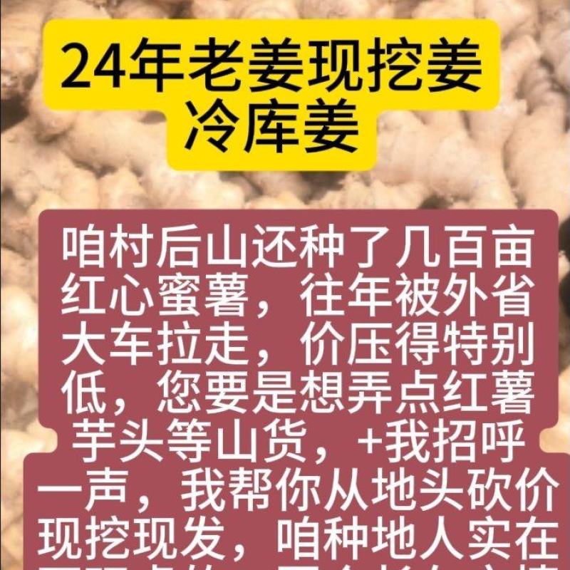 云南小黄姜生姜24年老姜，每天姜都不一来联系我看现货图片