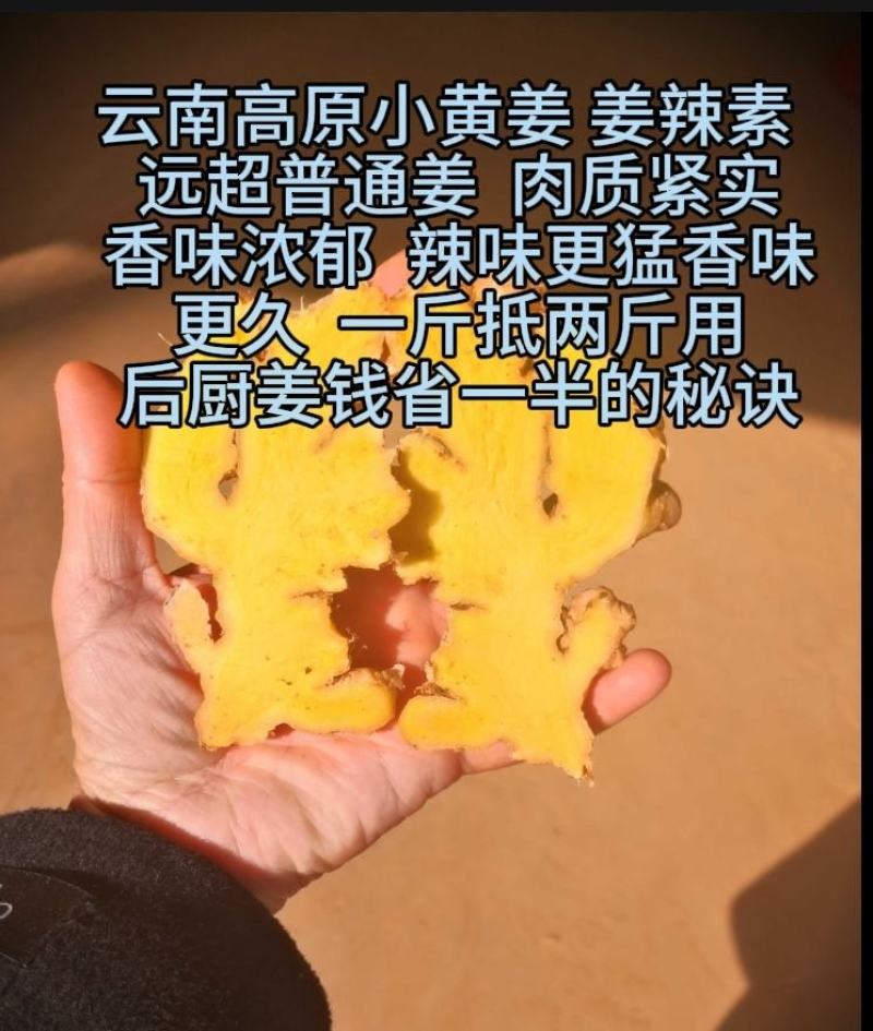 云南小黄姜生姜24年老姜，每天姜都不一来联系我看现货图片