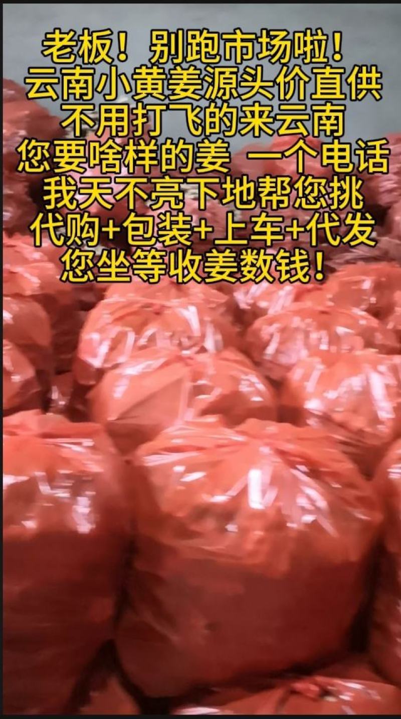 云南小黄姜生姜24年老姜，每天姜都不一来联系我看现货图片