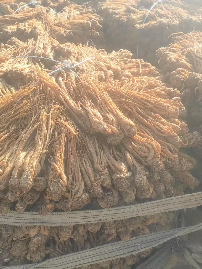 岷归，中华当归甲天下，岷县当归甲中华。量大还可优惠