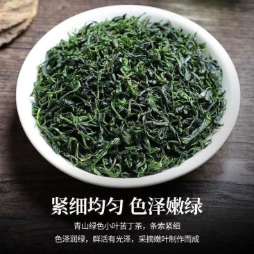 小叶苦丁青山绿水泡水泡茶
