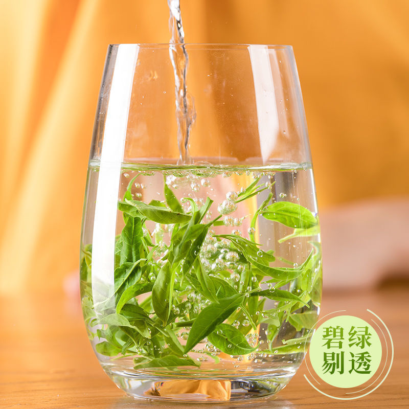 小叶苦丁青山绿水泡水泡茶