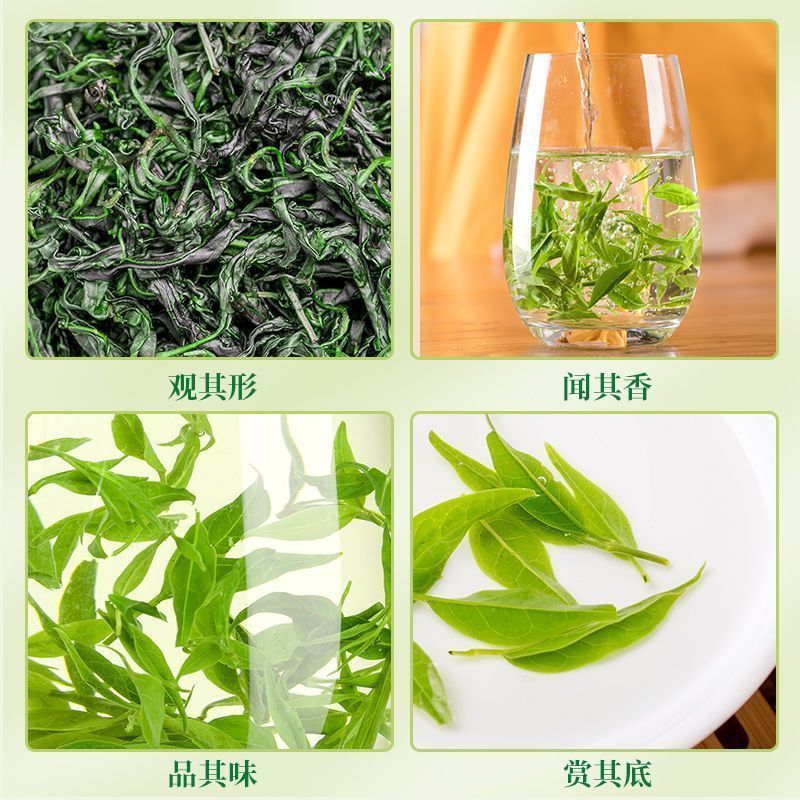 小叶苦丁青山绿水泡水泡茶