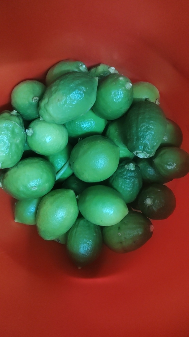 香水柠檬无籽靓果